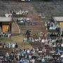 Keine Pappkameraden - in Bulgarien sind echte Fans zugelassen