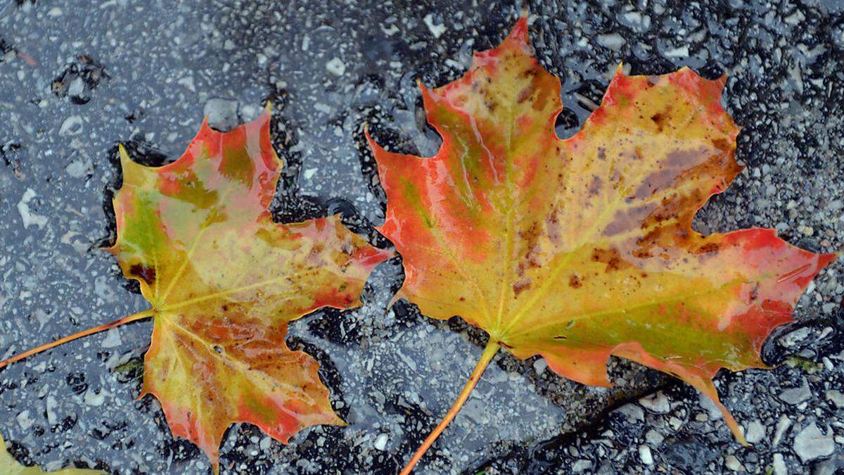 Die Temperaturen erinnern derzeit eher an den Herbst als an den Sommer.