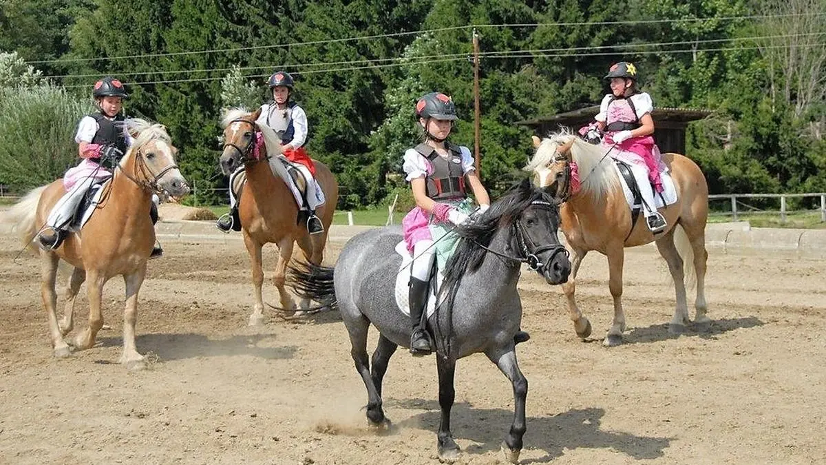 Zahlreiche Vorführungen prägten das Reiterfest in Rohrbach