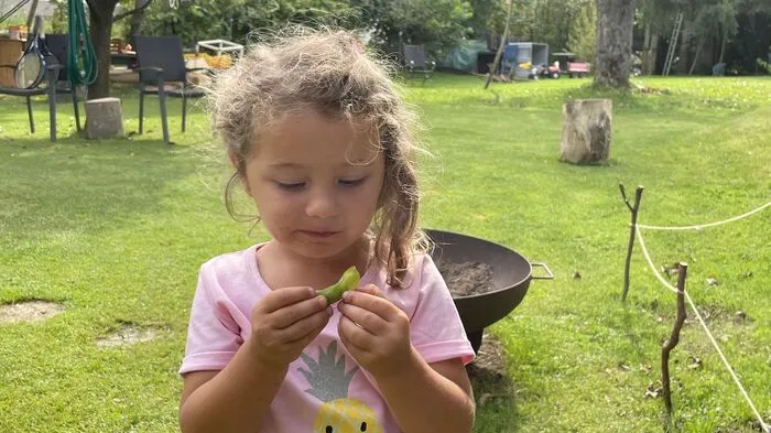 Tochter Helena macht regelmäßig den Qualitätstest der Edamame von Denise und Matthias Janisch, die seit einem Jahr bei ihrem Gemüsebaubetrieb die Sojabohnen aus Ostasien anbauen.
