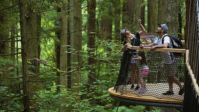 Der Kletterwald in Ossiach baut aus. Mitte Mai wird dort ein neuer familienfreundlicher Erlebnisweg samt Treewalk eröffnet. Dieser ist rund 500 Meter lang und beinhaltet Hängebrücken, Aussichtsplattformen und eine Fahrt mit der Fly-Line. Im Kletterpark „Hochhinaus“ auf der Taborhöhe in Faak (hat seit April am Wochenende geöffnet), kann man neuerdings auch auf dem 3D-Bogenparcours üben.