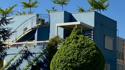 Der Lärm der Grabenstraße ist kaum zu hören. Glyzinien ranken sich an eigens hierfür angebrachten Stangen die blaue Fassade hinauf und auf dem Flachdach breiten Ginkobäume ihre noch jungen Kronen aus.