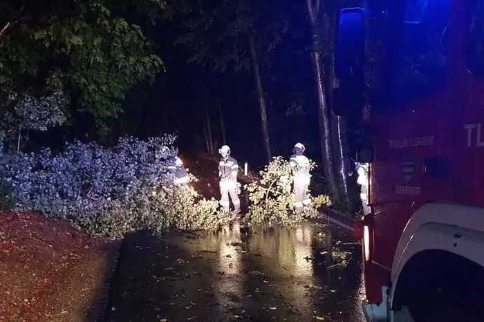 Einsatz um halb zwölf in Eggersdorf: Aufgrund der starken Regenfälle in der Nacht war ein Baum über eine Straße gestürzt, den die Freiwillige Feuerwehr Eggersdorf bei Graz entfernte.