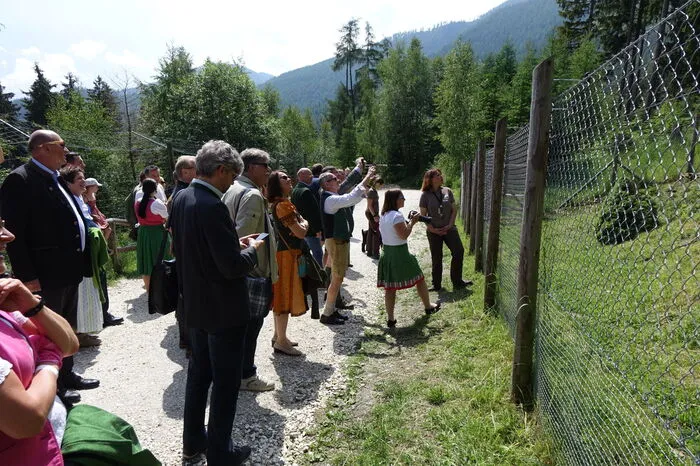 Das feierten Tourismuslandesrätin Barbara Eibinger-Miedl, Heinrich Prinz-Reuss, die Bürgermeister Andreas Kühberger (Mautern) und Hans Schrabacher (Wald am Schoberpass), Steiermark-Tourismuschef Erich Neuhold, Helmut Schnabl, Aufsichtsratsvorsitzender der Planai Hochwurzen-Bahnen, Ingo List, Tourismusreferat des Landes, LAbg. Marco Triller, Wilhelm Edlinger, BH Leoben, sowie Planai Hochwurzen-Bahnen-Chef Georg Bliem und sein Team, die auch für den Wilden Berg in Mautern verantwortlich sind.