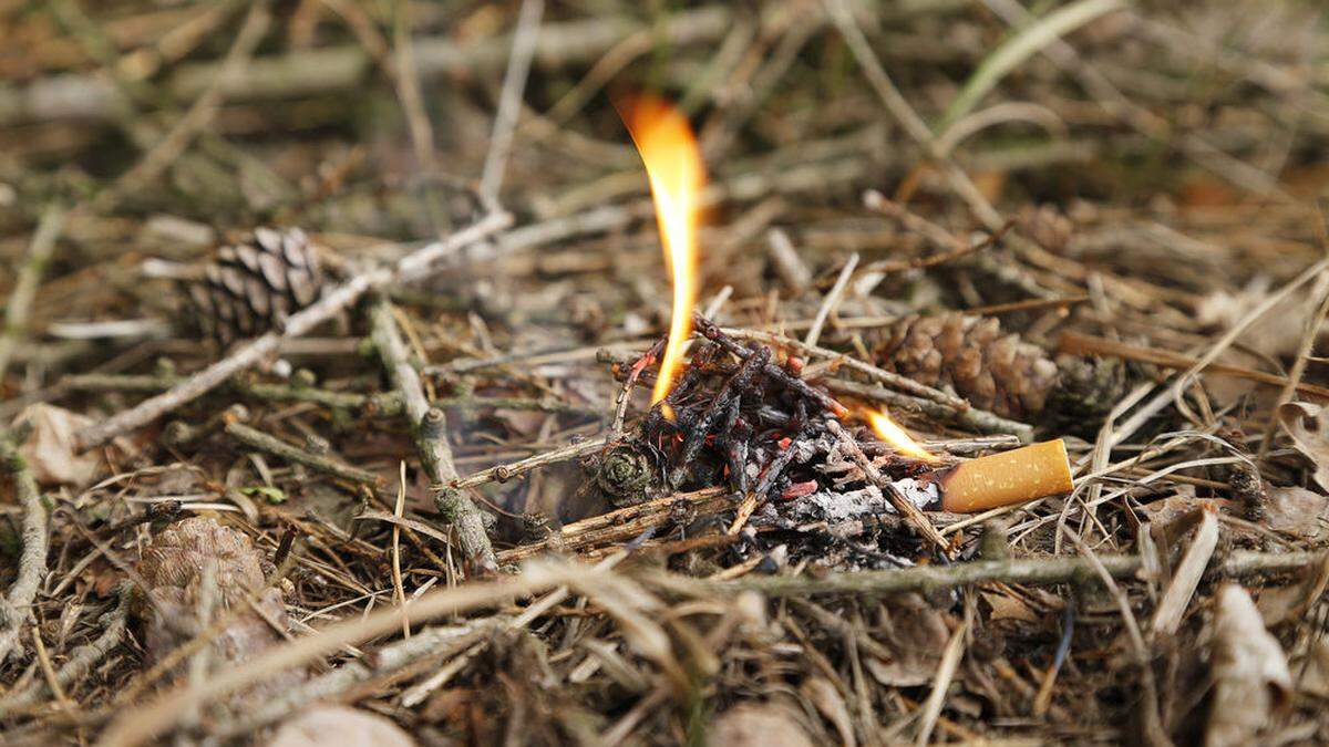 Die Brandgefahr ist derzeit sehr hoch in den heimischen Wäldern.