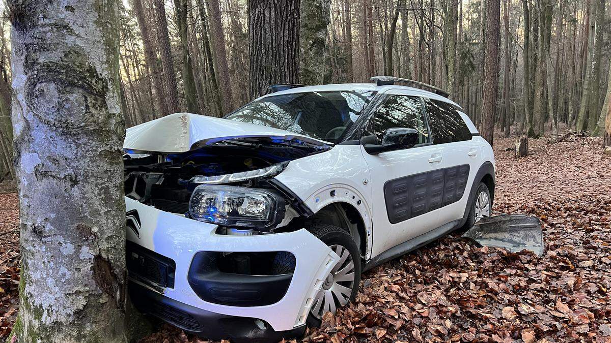 Der Lenker des Fahrzeuges wurde bei dem Unfall leicht verletzt