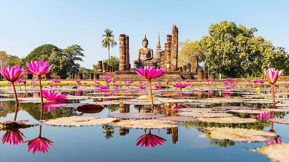 Der Geschichtspark Sukhothai zu Lotosblüte