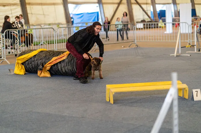 Der Agility-Parcours ist für Hund und Herrchen eine Herausforderung. Die Hindernisse müssen in der richtigen Reihenfolge absolviert werden.
