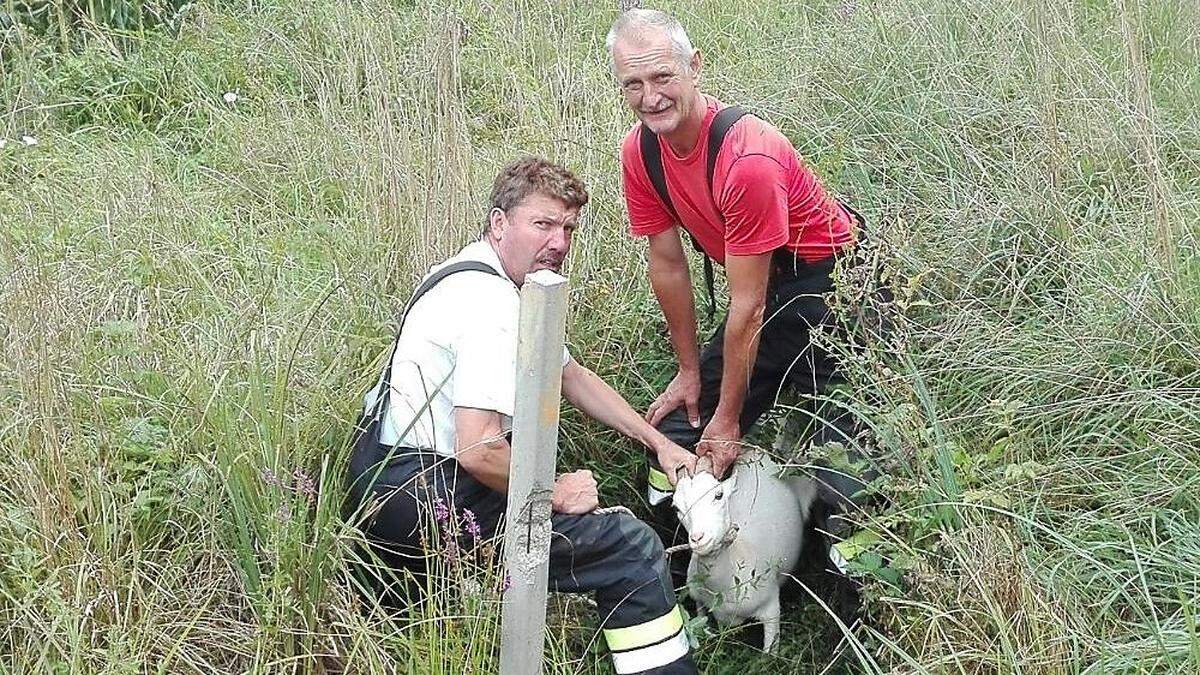 Karl Höfler (li.) und Gerhard Rosenberger mit dem geretteten Tier