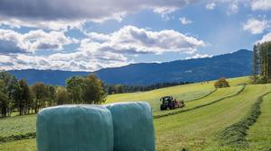 Kärntner Bauern dürfen zumindest für ein Jahr Siloballen in der freien Landschaft zwischenlagern (Symbolfoto)