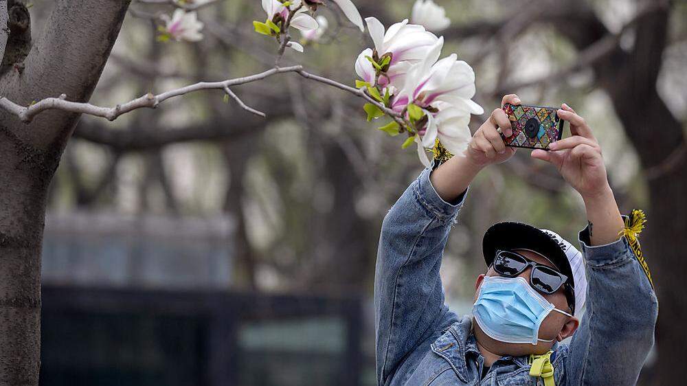 Die Chinesen können sich wieder über den Frühling freuen 