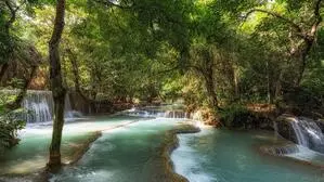 Soll auch die Natur einklagbare Rechte haben? 