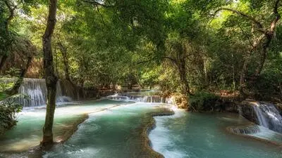 Soll auch die Natur einklagbare Rechte haben? 