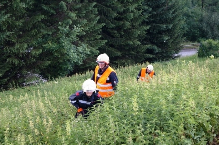 Klicken Sie sich durch weitere Bilder!