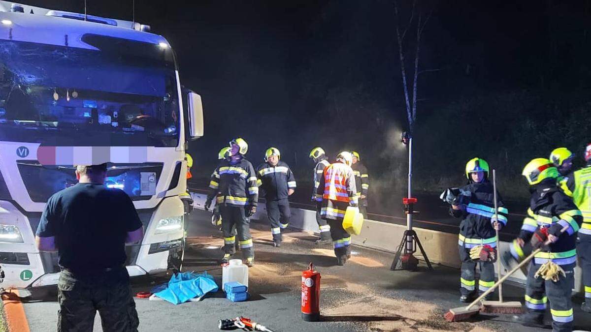 Die Freiwilligen Feuerwehren Friesach/Wörth, Deutschfeistritz und Frohnleiten standen mit insgesamt 37 Kräften und acht Fahrzeugen im Einsatz