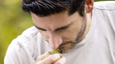 Liebt Kräuter und Gewürze: Drei-Haubenkoch Paul Ivic 