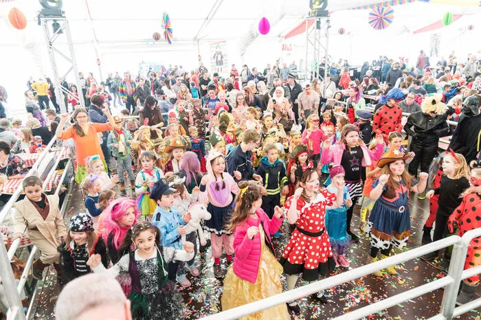 Am Dienstag folgen ab 14 Uhr der Sturm aufs Rathaus, danach der Umzug durch die Altstadt sowie die Faschingsparty im Festzelt auf dem Hauptplatz.