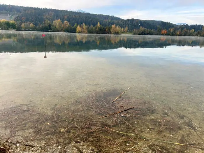 Die Reinigungsaktion nützt nicht nur den Fischerinnen und Fischern, sondern vor allem auch der Bevölkerung, die den See kostenlos nutzen kann