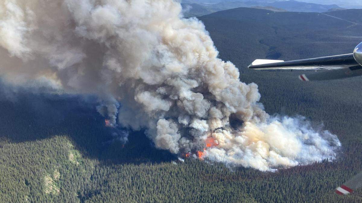 Begünstigt durch Hitze und Dürre wüteten in Kanada heuer die schlimmsten Waldbrände seit Aufzeichnungsbeginn