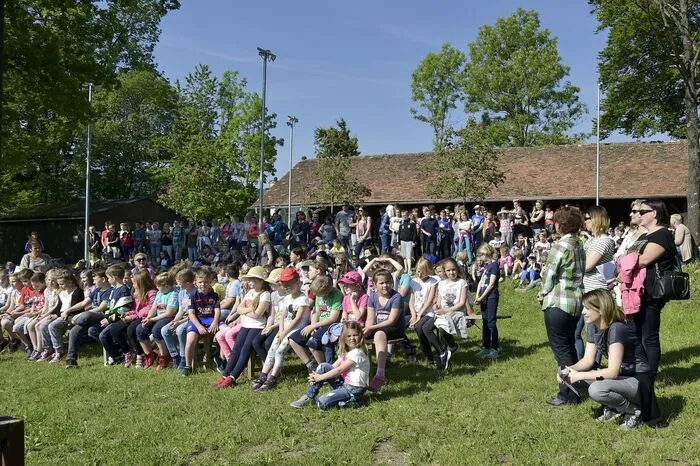 Mit besonderer Hingabe malten viele Schüler Bienen, Vögel und Schmetterlinge