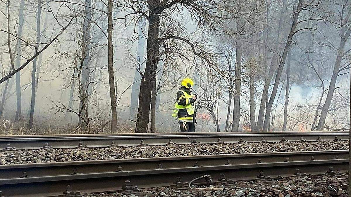 Die Feuerwehr brachte den Brand rasch unter Kontrolle