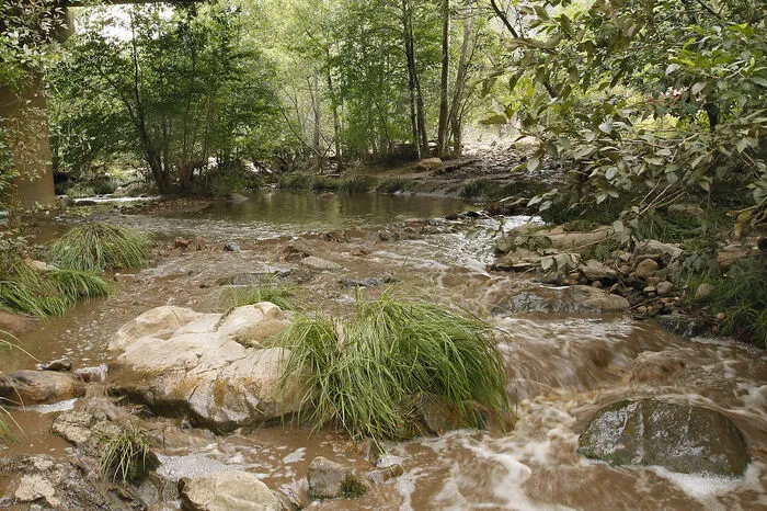 Den Berichten zufolge ereignete sich das Unglück nach sintflutartigen Regenfällen in einem Schlucht nahe Payson.