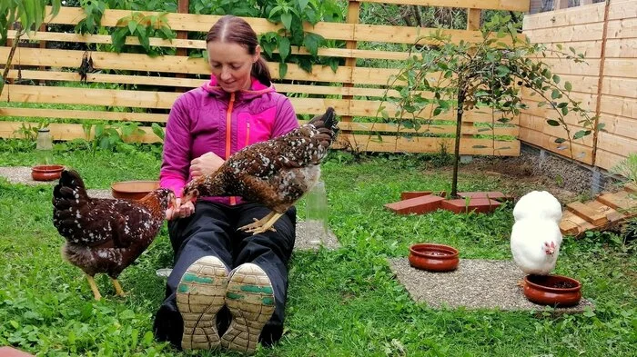 Kerstin Teubl und ihrem Lebensgefährten Wolfgang Seidl gehört der Schwalbenhof in Bierbaum