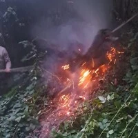 In Sankt Lorenzen am Wechsel kam es in den frühen Morgenstunden des Montags zu einem Waldbrand