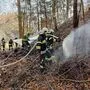 Rund 200 Quadratmeter Waldboden brannten in Mortantsch