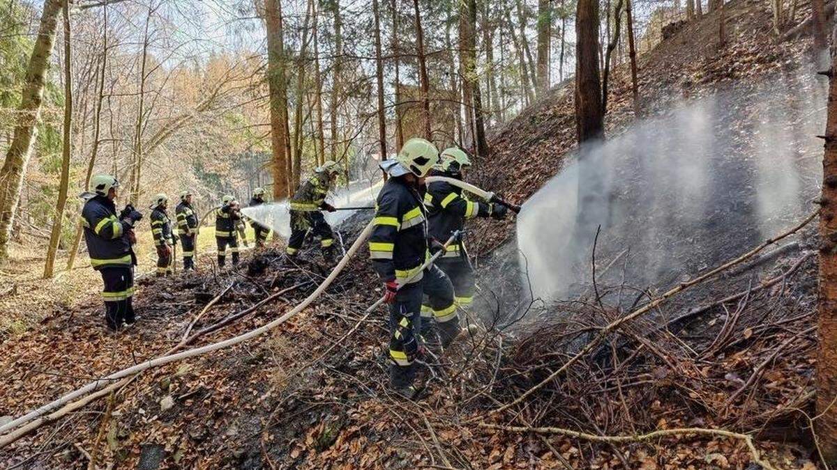 Rund 200 Quadratmeter Waldboden brannten in Mortantsch