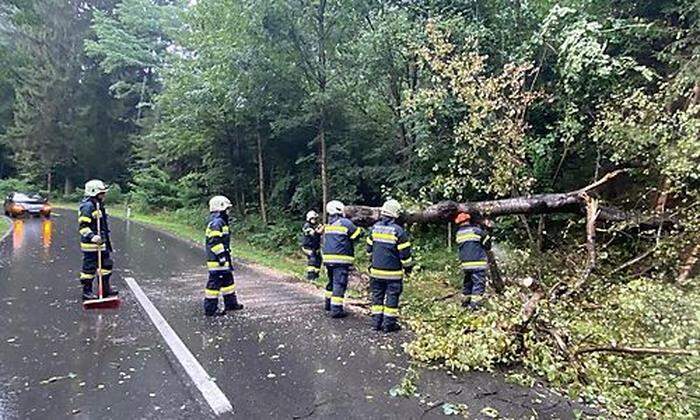 Ein umgestürzter Baum blockierte die Hallegger Straße
