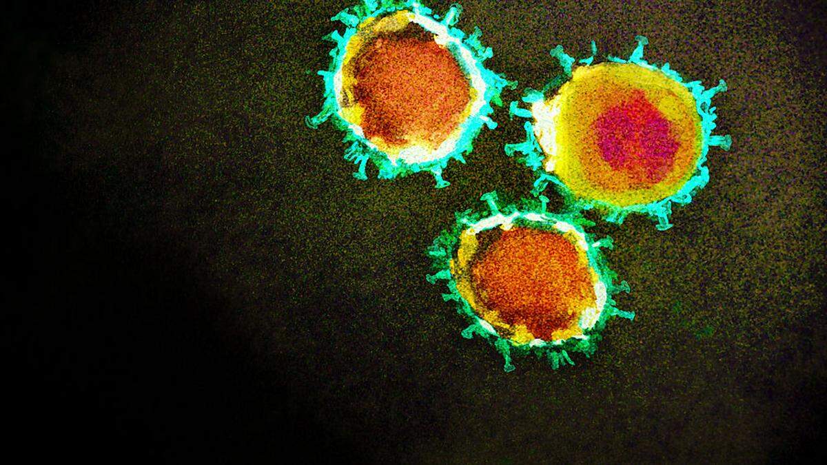 Rekombinationen von Virusvarianten kennt man auch von Influenzaviren