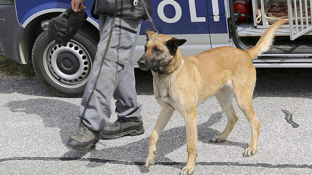 Ein Diensthund der Polizei erschnüffelte Drogen