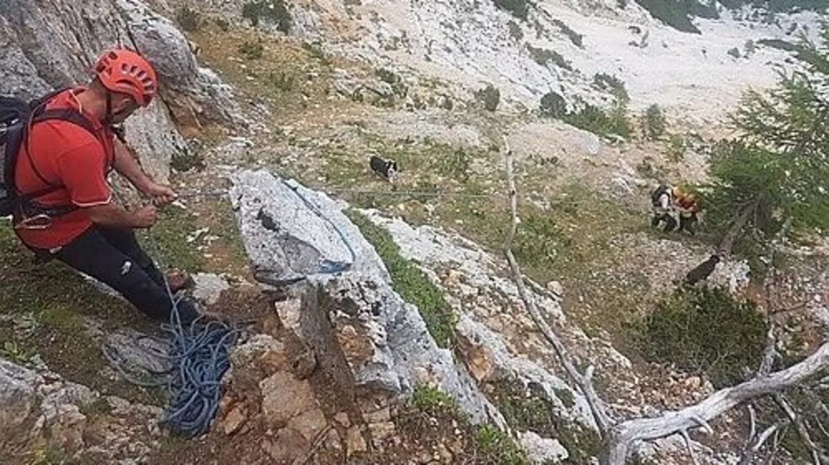 Sechs Mitglieder der Bergrettung Villach bargen die vier Wanderer und den Hund