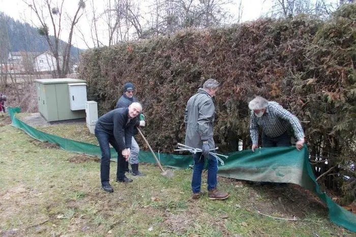 Ortseinsatzstellenleiter Franz Groß und sieben weitere Bergwächter sowie zwei Helfer bringen die Tiere, die in Kübeln gesammelt werden, zu Gewässern in der Umgebung. „Sobald es geregnet hat, haben wir täglich rund 150 bis 300 Frösche und Kröten entlang des Zauns gesammelt“, schildert Groß.