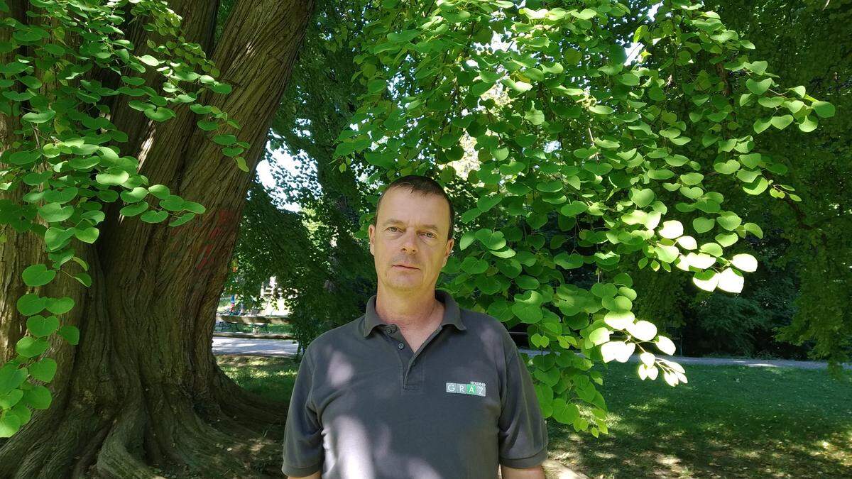 Robert Grill ist für die Baumpflege der 2.000 Bäume im Grazer Stadtpark zuständig