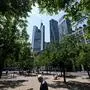 A man walks under the trees of a public garden in front of the banking district skyline with the Commerzbank building (L) in Frankfurt am Main, western Germany, on June 11, 2025. (Photo by Kirill KUDRYAVTSEV / AFP)