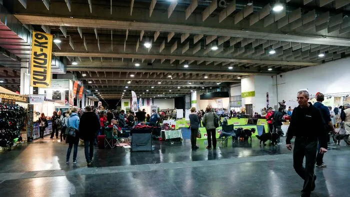 Das ist ein Hundeleben! Fans der Vierbeiner kamen bei Tag eins der Internationalen Hundeausstellung voll auf ihre Kosten.