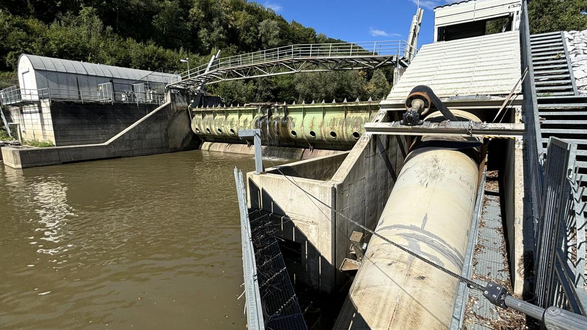 Binnen sechs Monaten wanderten 1300 Fische durch die Aufstiegshilfe