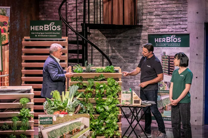 Mit innovativen vertikalen Hochbeeten hoffen "Herbios" aus Niederösterreich auf Investorengeld.