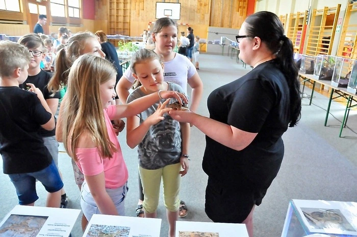 Die Schülerinnen und Schüler konnten viele Tiere streicheln und sich Schnecken und Co. auf den Arm setzen lassen.