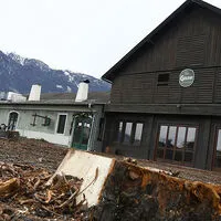 Ohne viel Federlesen wurden am Samstag die bis zu über 150 Jahre alten Kastanienbäume gefällt