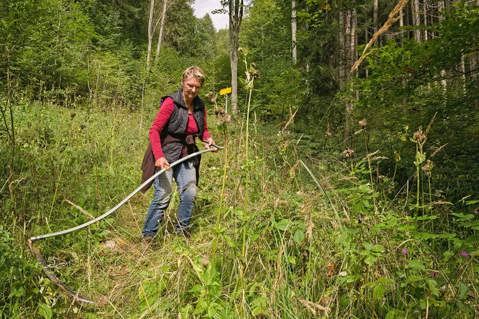 Eindrücke von den Arbeiten am Wanderweg auf der Falkensteinalm