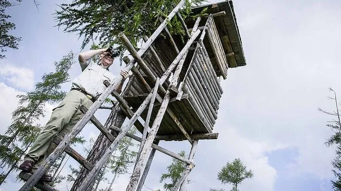 Vorbereitungskurs zur Jagdprüfung startet in St. Veit