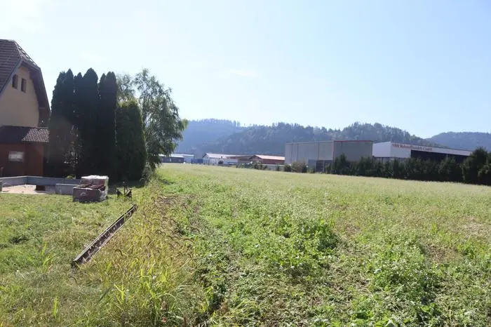 Auf dieser Wiese soll die neue Produktionshalle entstehen 