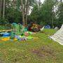 Auf dem Campingplatz am Gösselsdorfer See in Kärnten fielen mehrere Bäume um und verletzten Menschen