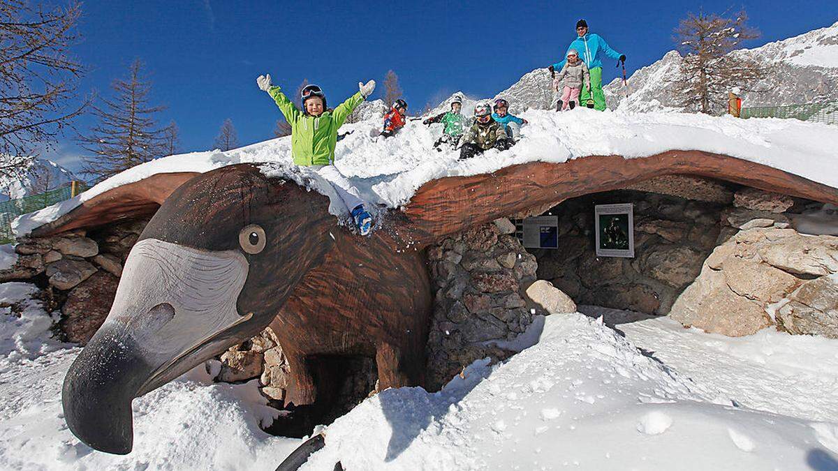 Die zwei Schlepper im Almengebiet unterhalb der Dachstein-Talstation waren der Geheimtipp unter den Einheimischen und besonders bei Familien beliebt 