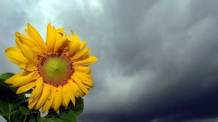 Sonne und Gewitter wechseln einander ab