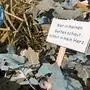 Wer Plastik sparen möchte, kann im eigenen Garten damit beginnen