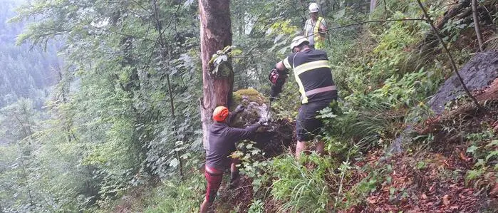 Das Gelände oberhalb des betroffenen Straßenabschnitts muss von mehreren Felsblöcken befreit werden 